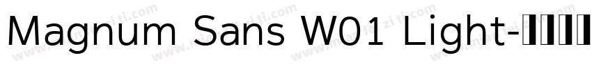 Magnum Sans W01 Light字体转换